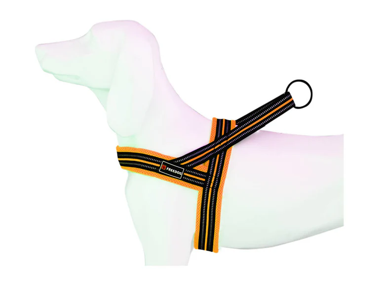 Harnais Ergo - Rouge / M (20mmx50/71cm) – Animalerie Maroc