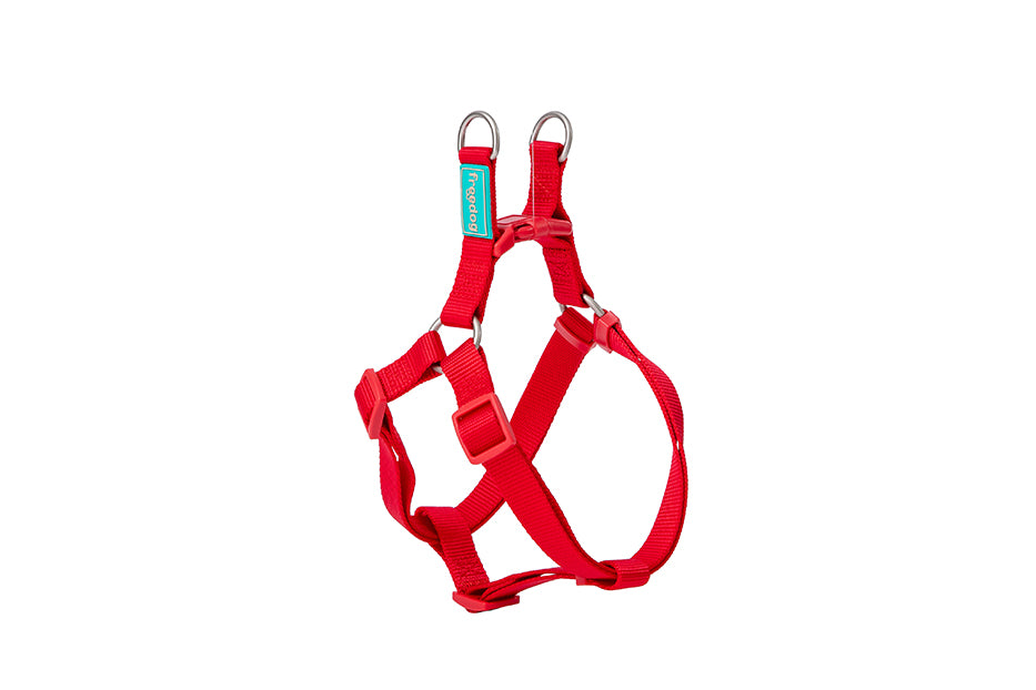 Harnais Nylon Basic - Rouge / XS (10mmx20/36cm) – Animalerie Maroc
