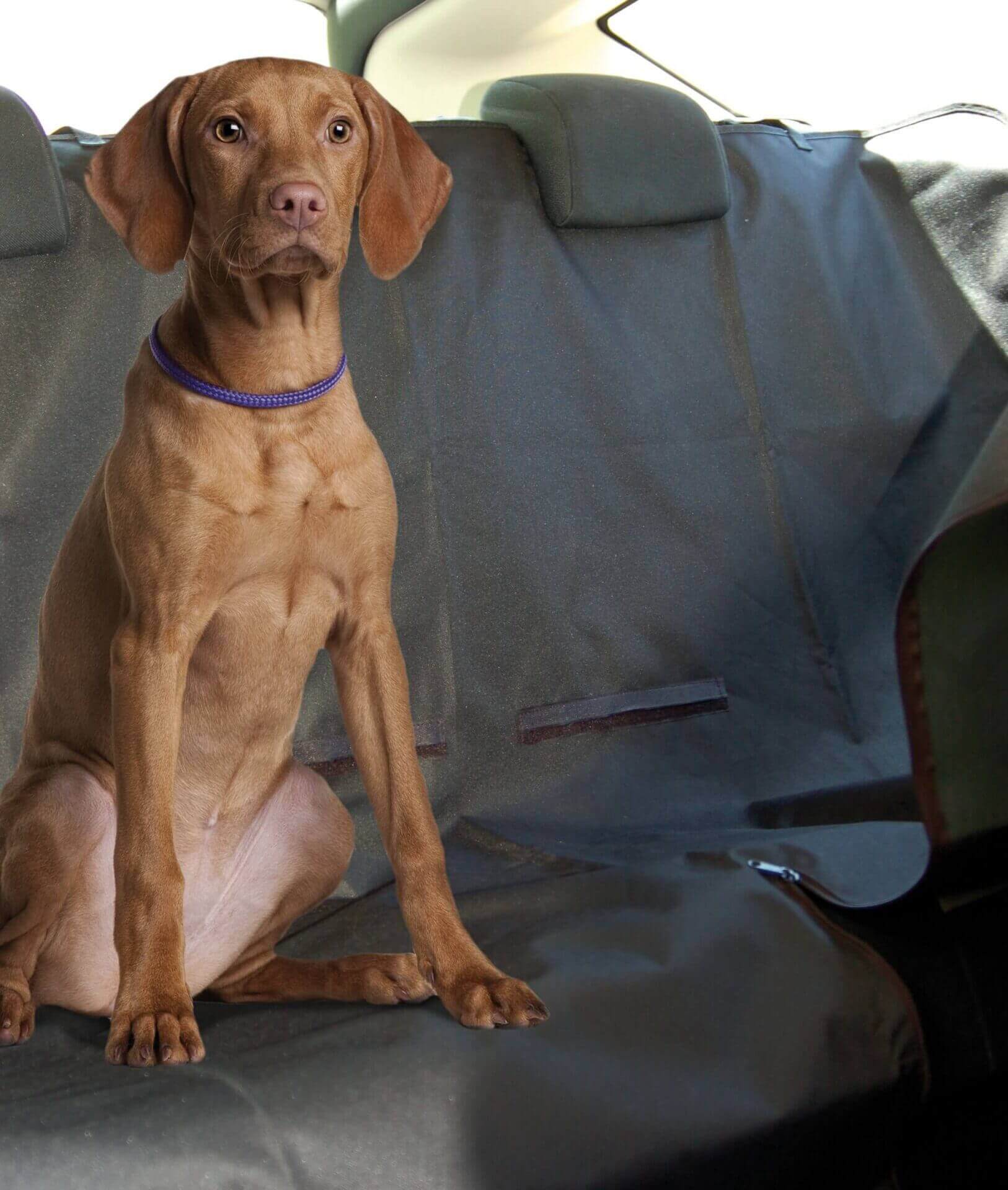 Couvre Sièges Nylon – Animalerie Maroc