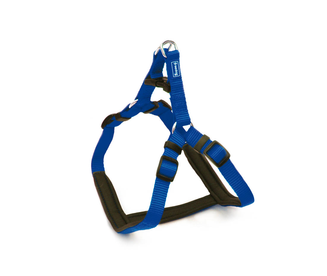 Harnais Ergo - Bleu / S (15mmx30/50cm) – Animalerie Maroc
