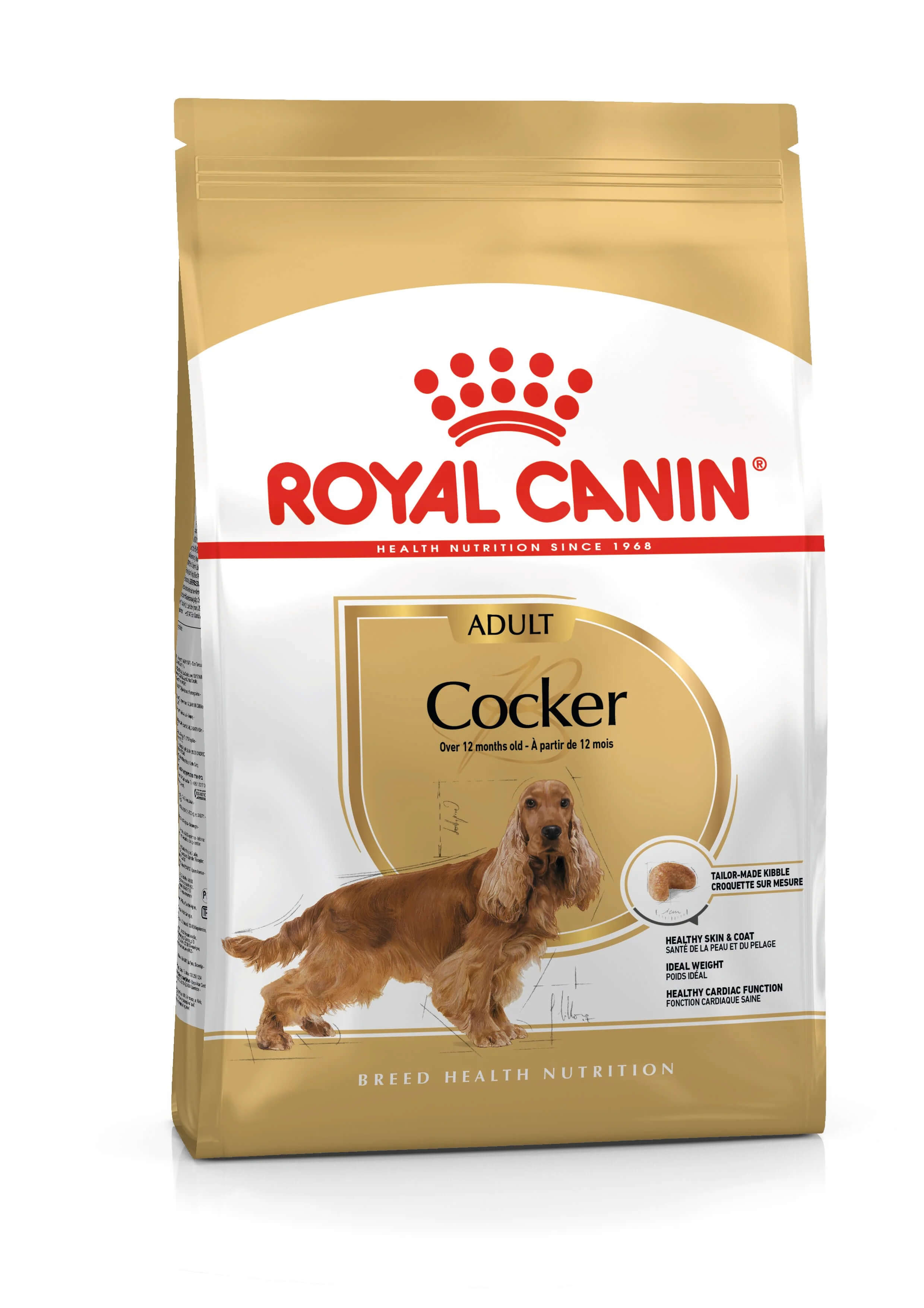Cocker adulte - 3kg – Animalerie Maroc