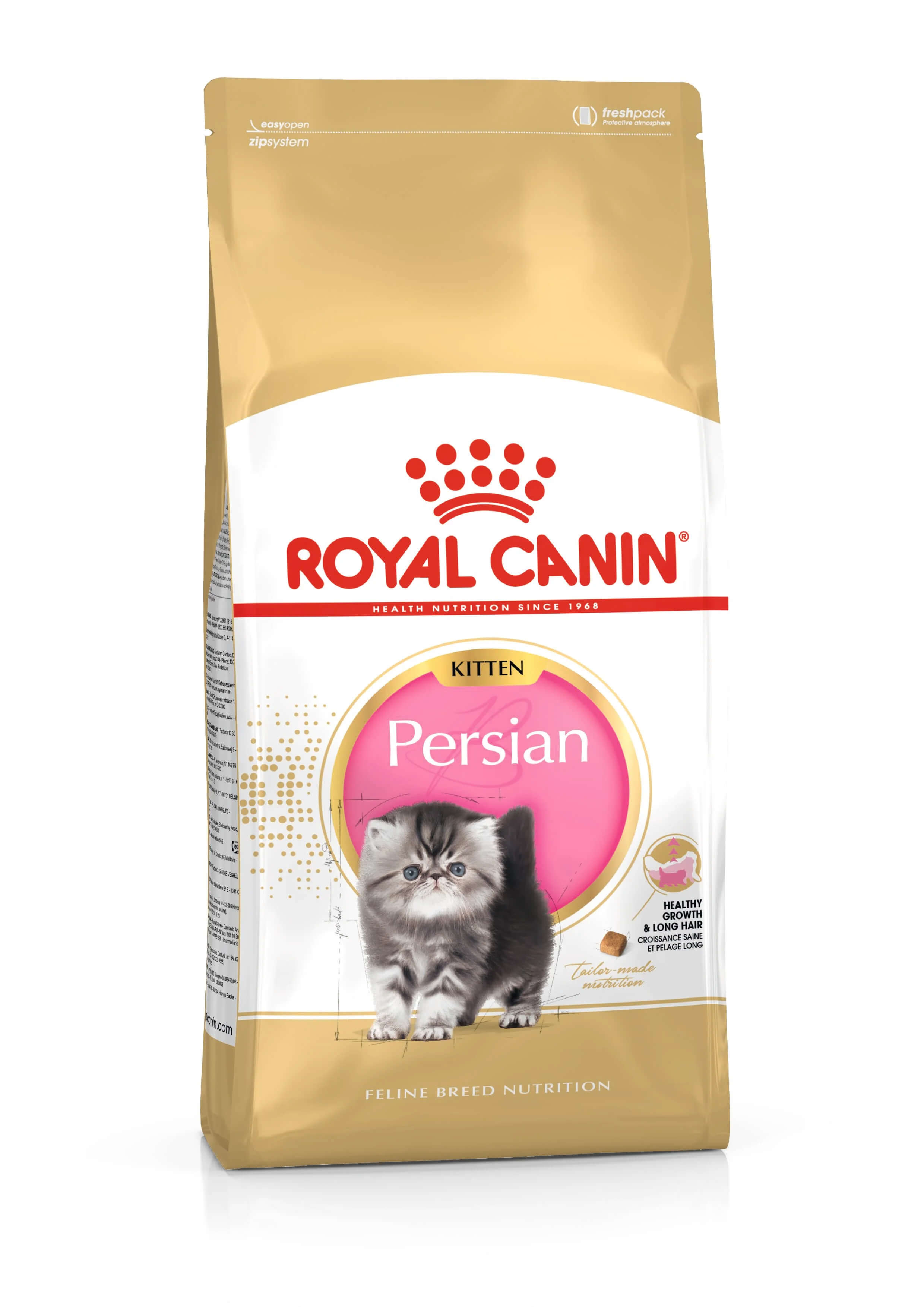 Persian kitten - 2kg – Animalerie Maroc
